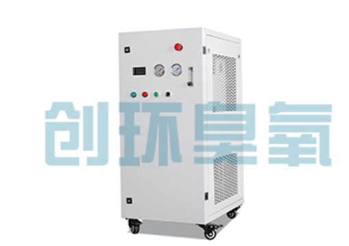 绍兴石斑鱼养殖水质调控完整指南：臭氧发生器配置与操作步骤